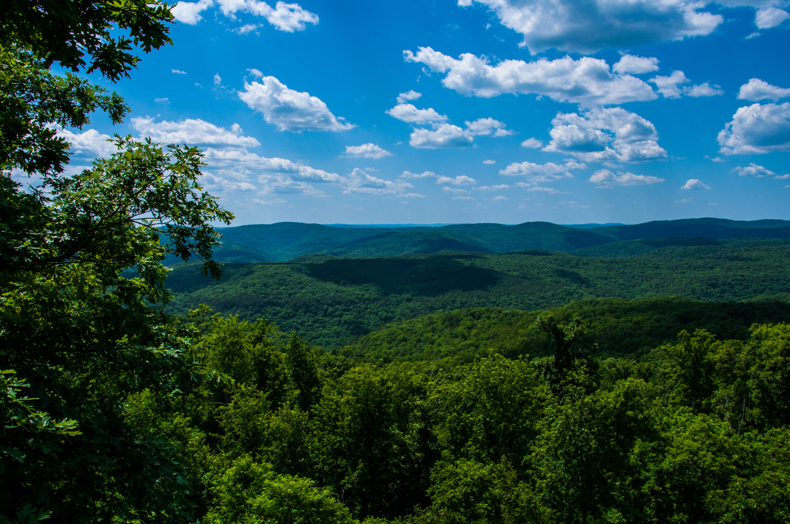 Travel Healthcare Jobs in Arkansas The green hills in the Ozark mountains Arkansas Green State spring time nature landscape USA