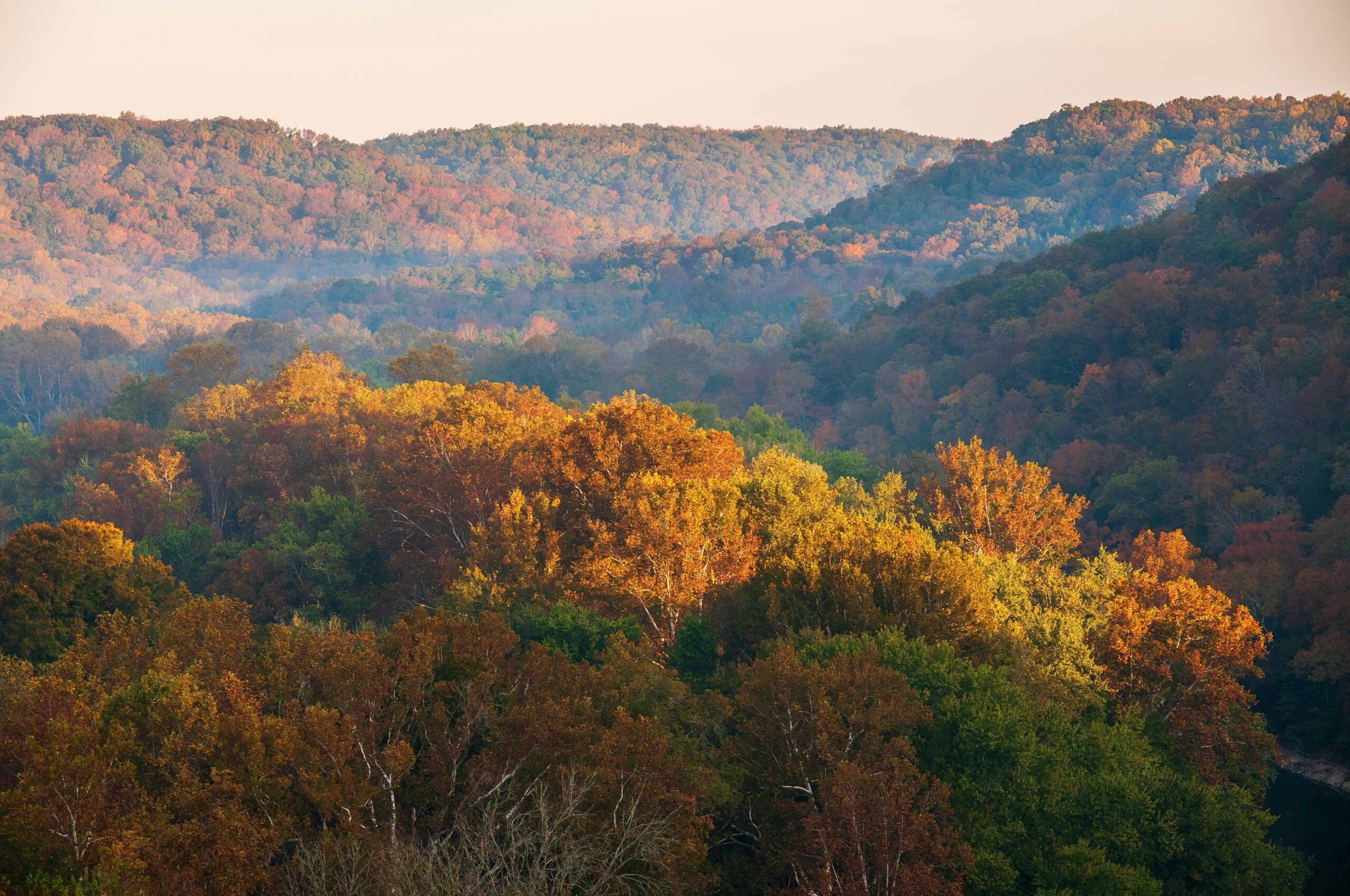 Travel Healthcare Jobs in Kentucky Mammoth Cave National Park in Kentucky