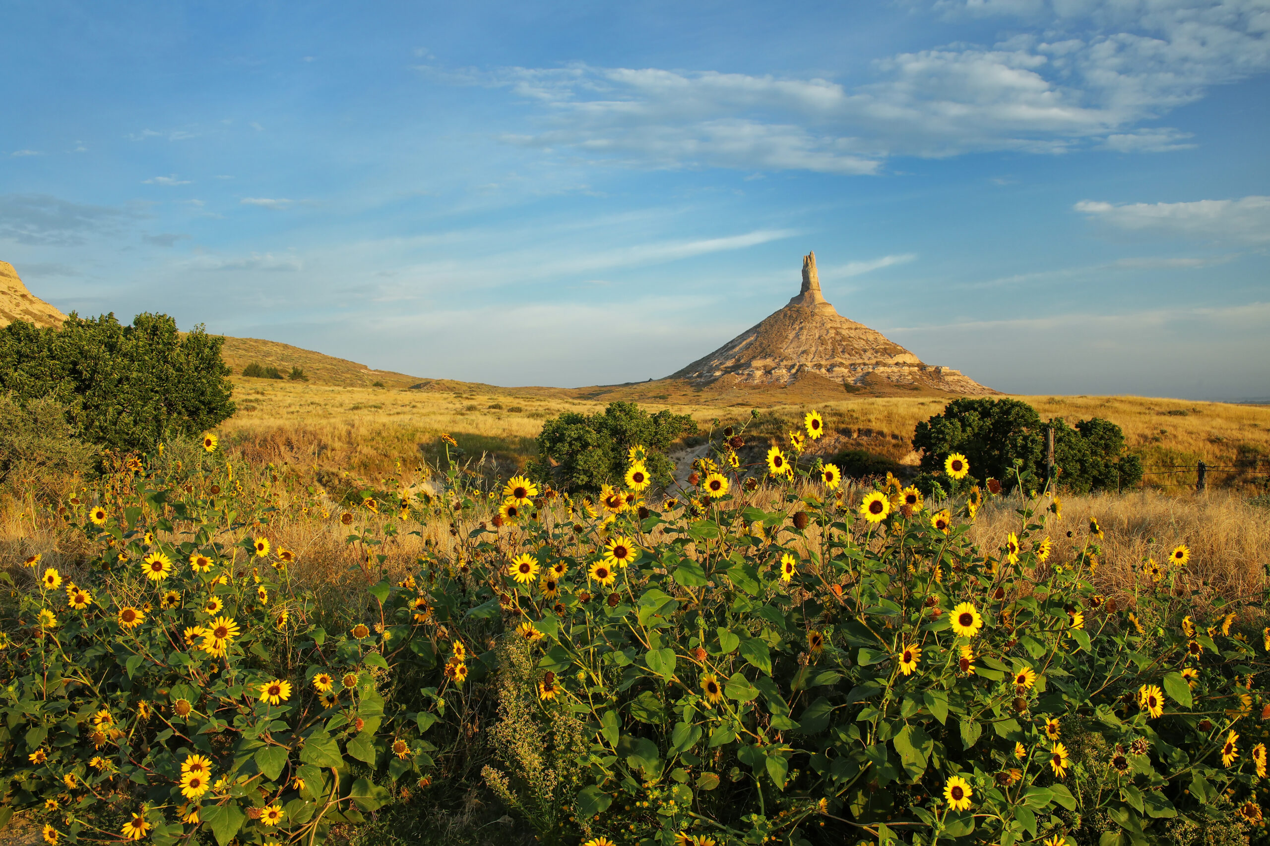 Travel Healthcare Jobs in Nebraska Chimney Rock National Historic Site with sunflowers, western Nebraska, USA. The peak of Chimney Rock is 1289 meters above sea level
