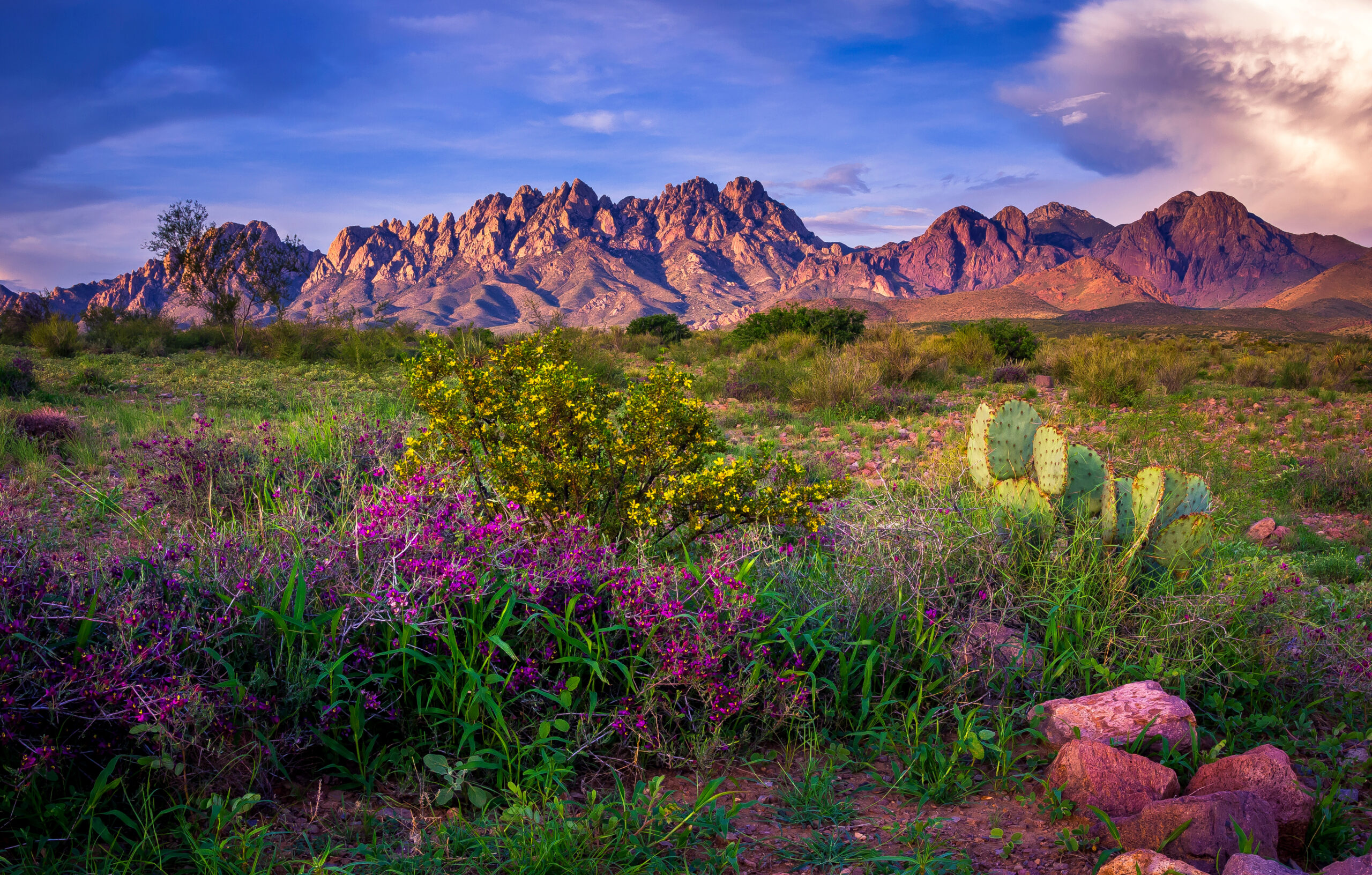 Travel Healthcare Jobs in New Mexico Organ Mountains, Las Cruces - New Mexico