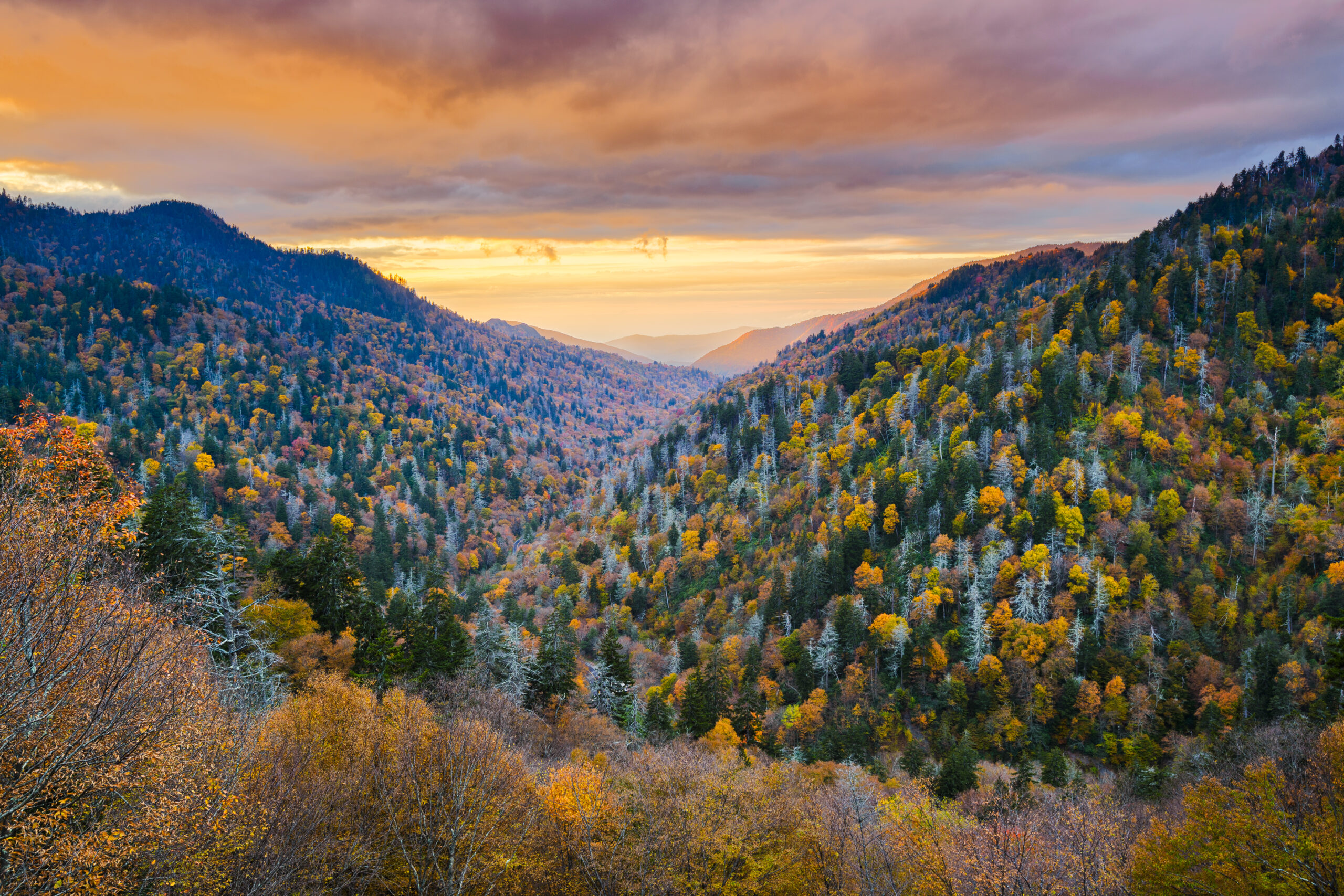 Travel Healthcare Jobs in Tennessee Smoky Mountains National Park, Tennessee, USA autumn landscape at dawn