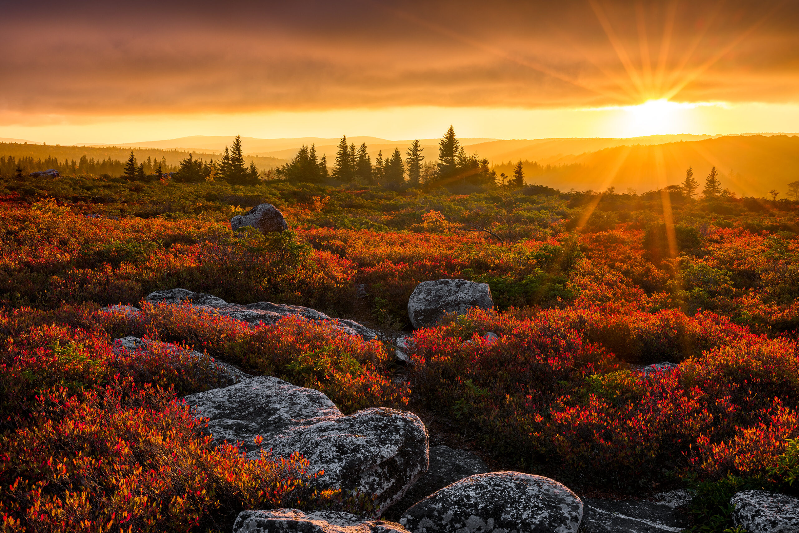 Travel Healthcare Jobs in West Virginia Autumn sunset, Dolly Sods Wilderness, West Virginia